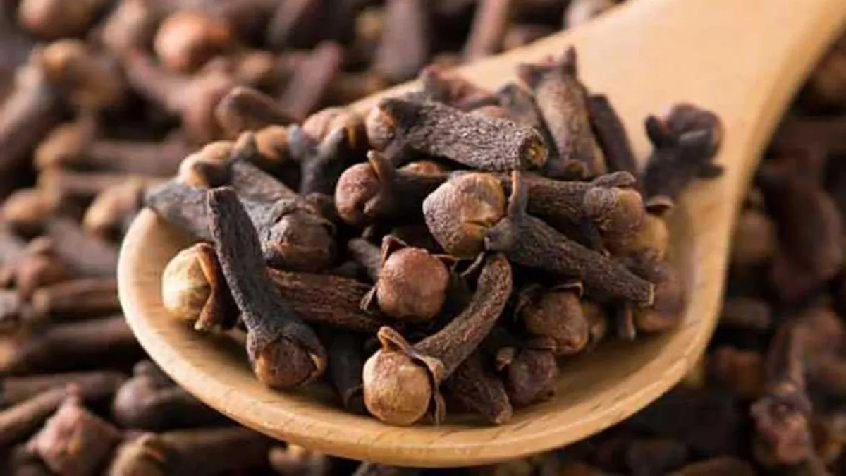 Do mýdla jsem zapíchla 20 sušených hřebíčků: sousedka si myslela, že jsem „se zbláznila“, ale ukázalo se, že „vím, co dělám“