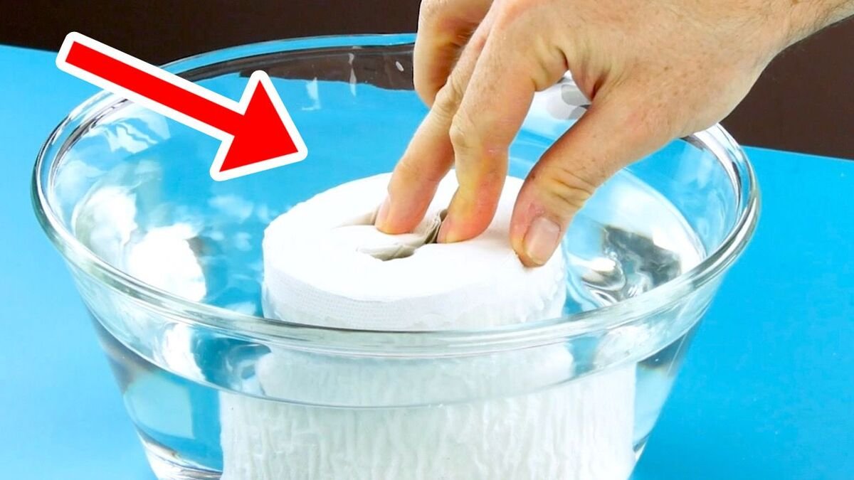 Zkuste nalít horkou vodu na roli toaletního papíru a výsledek může být až třikrát lepší než osvěžovač za zhruba 4 200 Kč