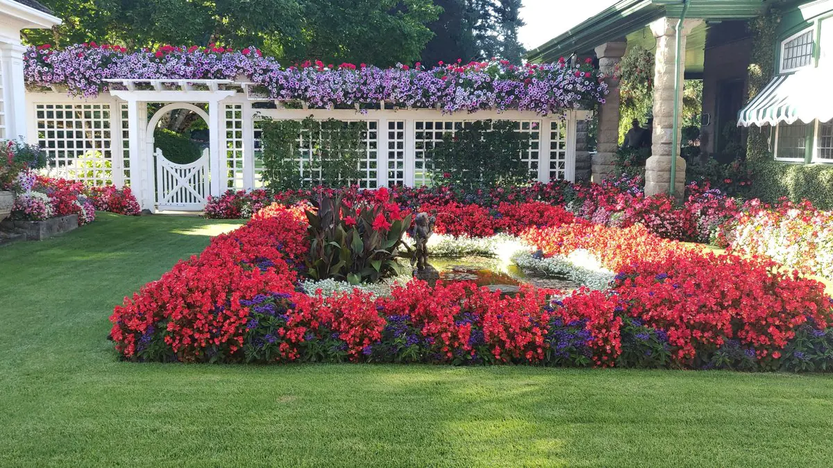 Pohled na hlavní zahradní trendy