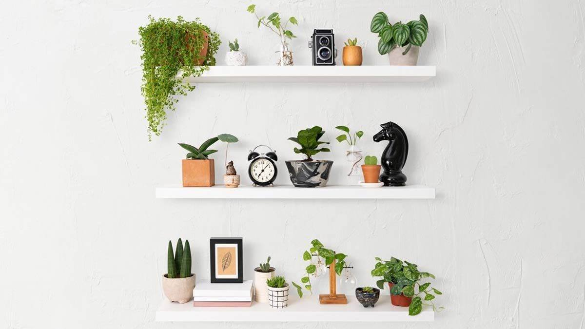 Už žádné fot rámečky visící na zdi: tento nový způsob „oživování“ vzpomínek je trendem roku 2026