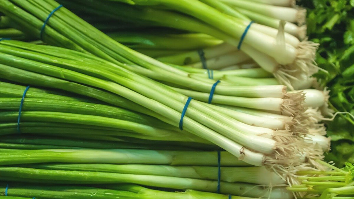 Jak pěstovat jarní cibulku doma a užívat si ji po celý rok