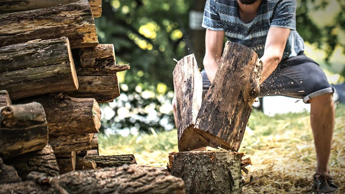 Tyto druhy palivového dřeva jsou problematické: ukážeme vám lepší řešení