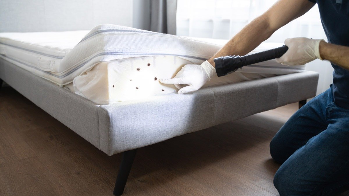 Nechte zavazadlo v koupelně! Zabráníte tak návštěvě nevítaných hostů