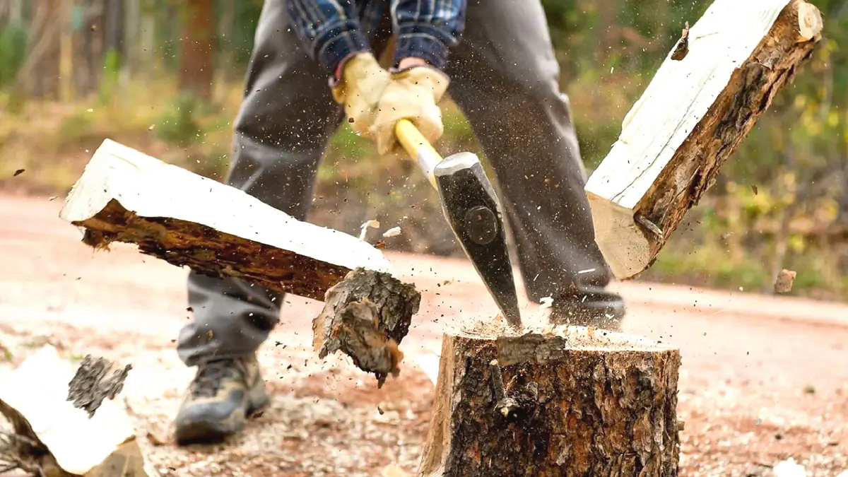Bezplatné palivové dřevo stále existuje díky staré technice, kterou používá jen málo domácností