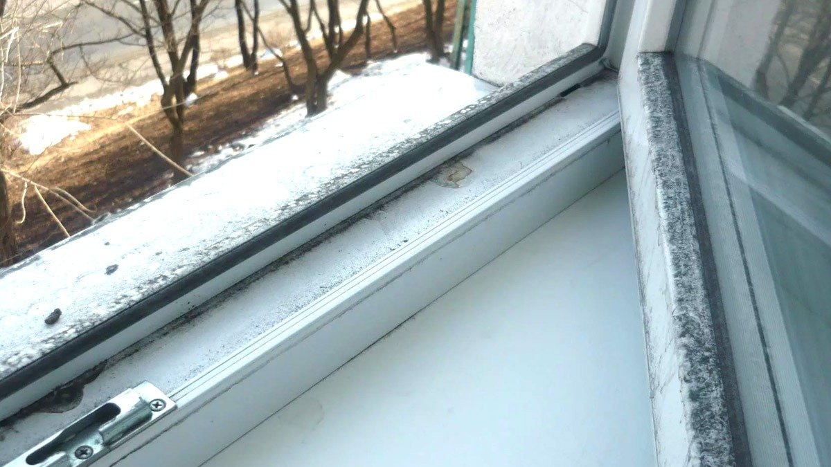 Okna: trik s peroxidem vodíku na vodících lištách, který profesionálové doporučují, aby se předešlo vážnému problému doma