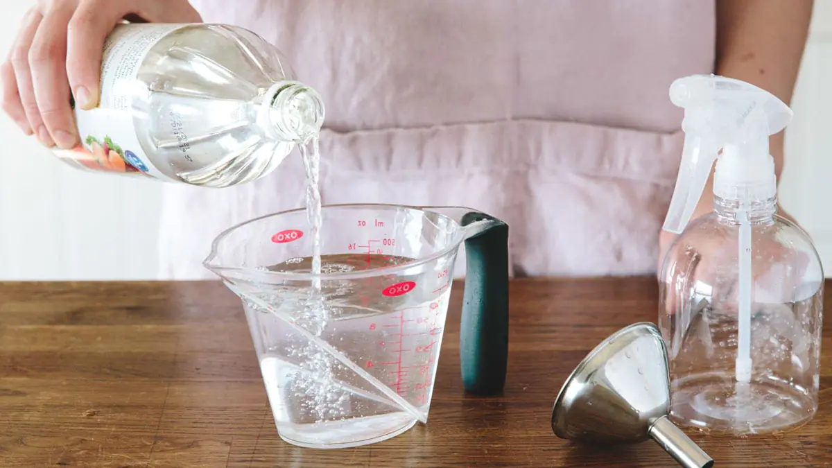 Plíseň na zdech: proč bělidlo problém neřeší a metoda, kterou doporučují profesionálové