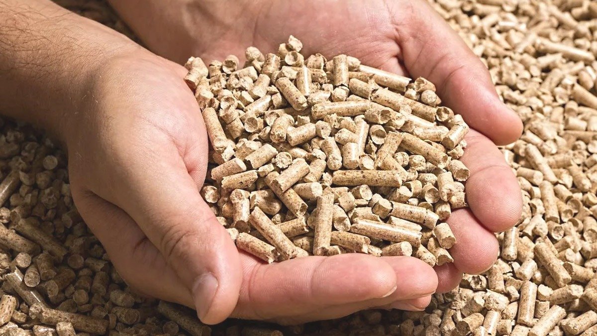 Paletová pec: 5 chyb, které vyprazdňují vaši peněženku, a mnoho lidí je dělá každý den