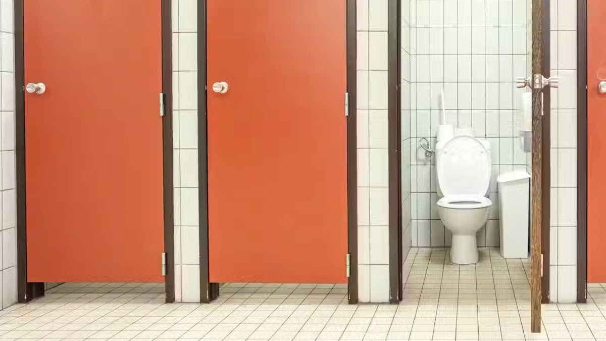 Proč dveře ve veřejných toaletách nesahají až k podlaze: jaké tajemství se skrývá za touto mezerou
