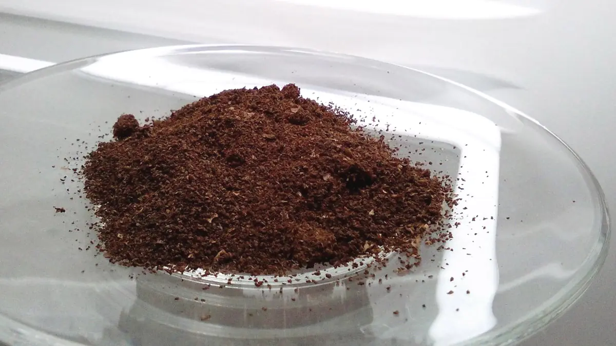 Miska s kávovou sedlinou v lednici účinněji zneutralizuje pachy než jedlá soda