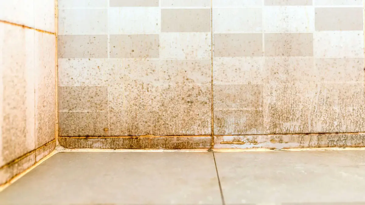 Zápach a špína na koupelnových obkladačkách? 4 jednoduché tipy pro lesklou koupelnu