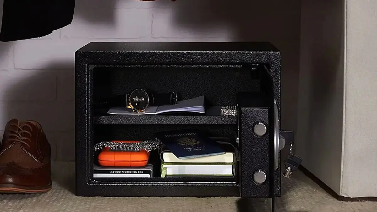 Jak se zloději dostávají do domů: vstupní místa a nejčastější metody 4 Jak se zloději dostávají do domů: vstupní místa a nejčastější metody