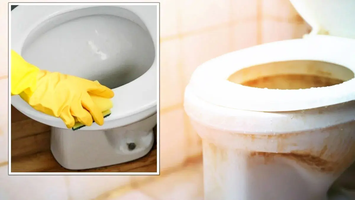 Zažloutlé záchodové prkénko? Tento jednoduchý postup vrátí bělost bez drahé chemie