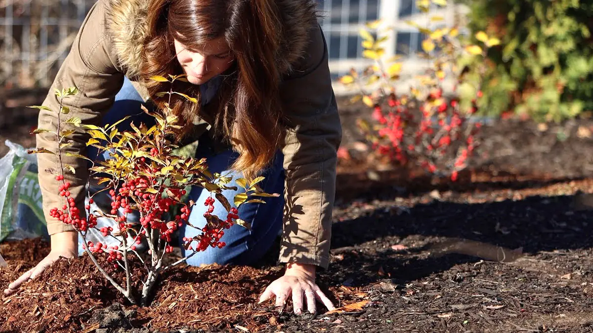 5 chyb v zimní zahradě, kterým se zahradní architekti vyhýbají – a co dělají místo toho