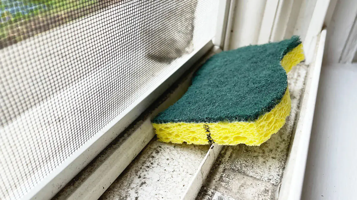 Tření citronu po okenních lištách: k čemu slouží a jaké má výhody