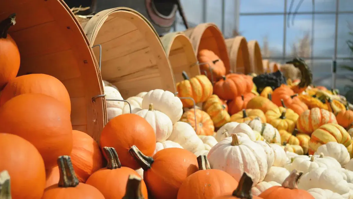 Nejezte kabocha dýni jen tak – zkuste ji přelít „tímhle“ a budete litovat, že vás to nenapadlo dřív