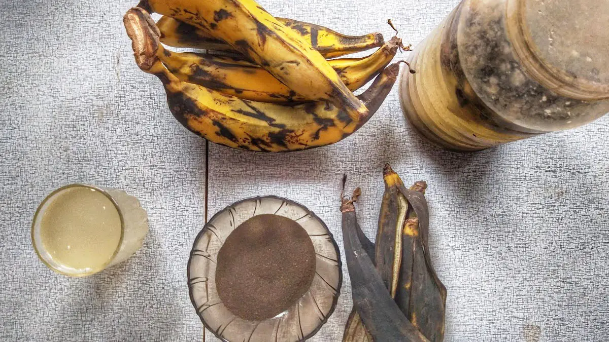 Nevyhazujte vaječné skořápky a banánové slupky: jak připravit „černé zlato“ pro sazenice na parapetu