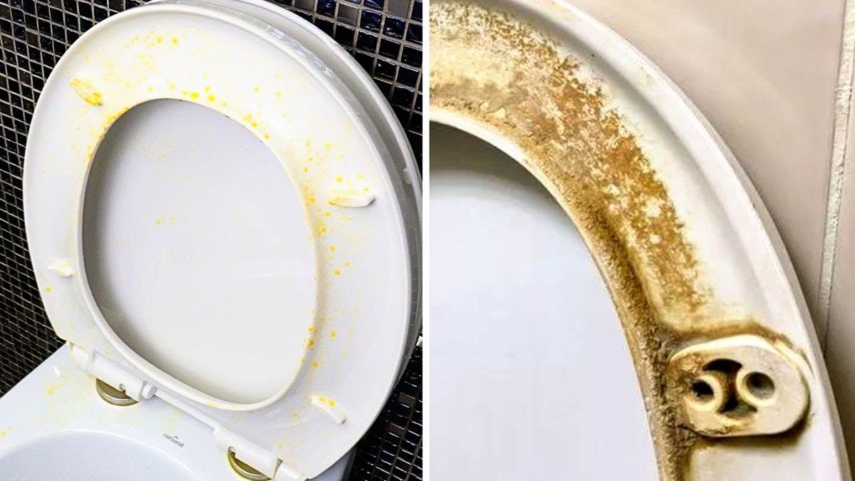 Zažloutlé záchodové prkénko? Tento jednoduchý postup vrátí bělost bez drahé chemie