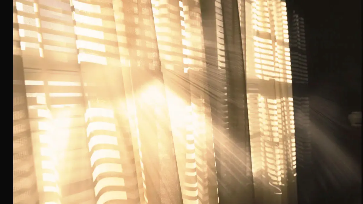 Okna jsem myl špatně celých 10 let: profesionální metoda bez šmouh