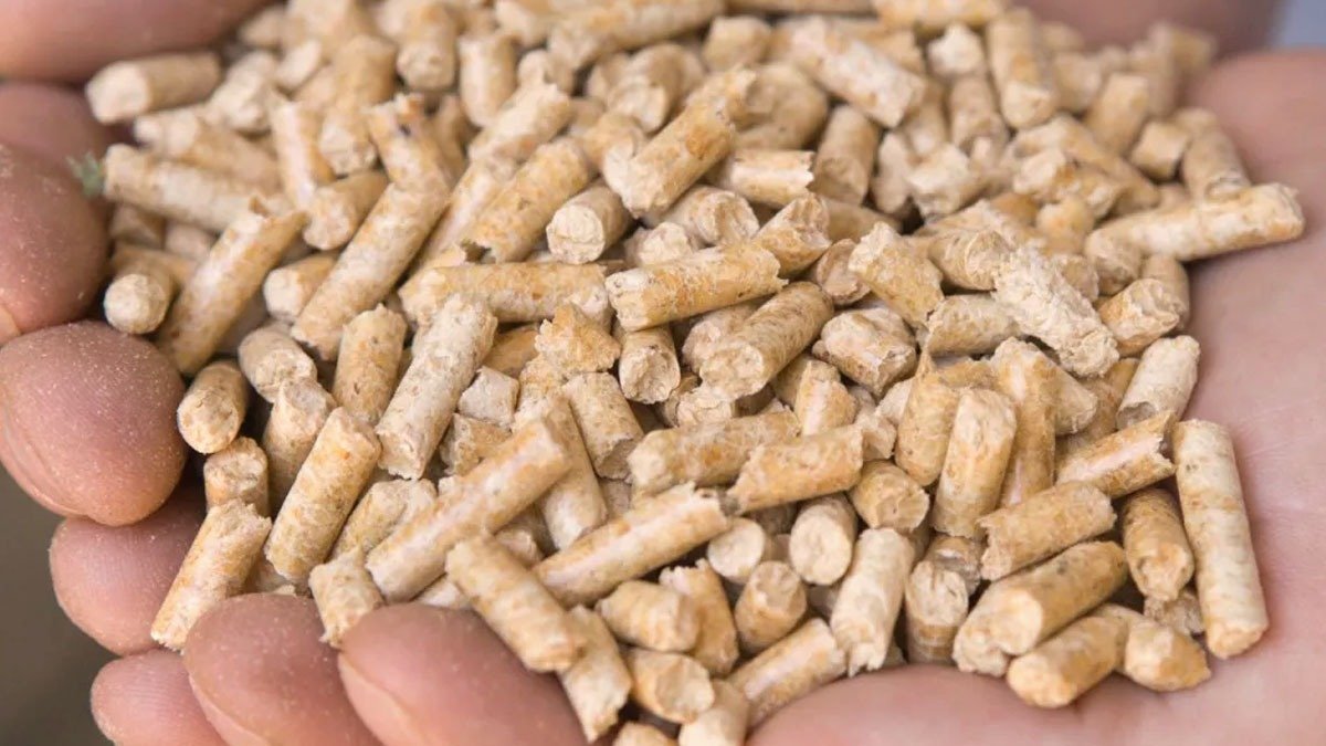 Proč spotřebují peletková kamna tolik paliva: nejčastější chyby a jak se jim vyhnout