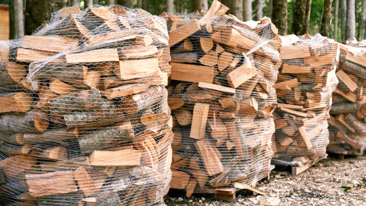 Tyto druhy palivového dřeva jsou problematické: ukážeme vám lepší řešení
