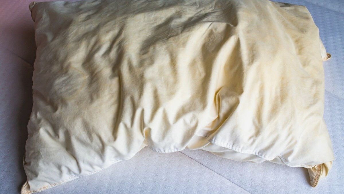 Jak správně vyhodit peřiny, polštáře a plyšové hračky? Odpověď úřadů překvapila