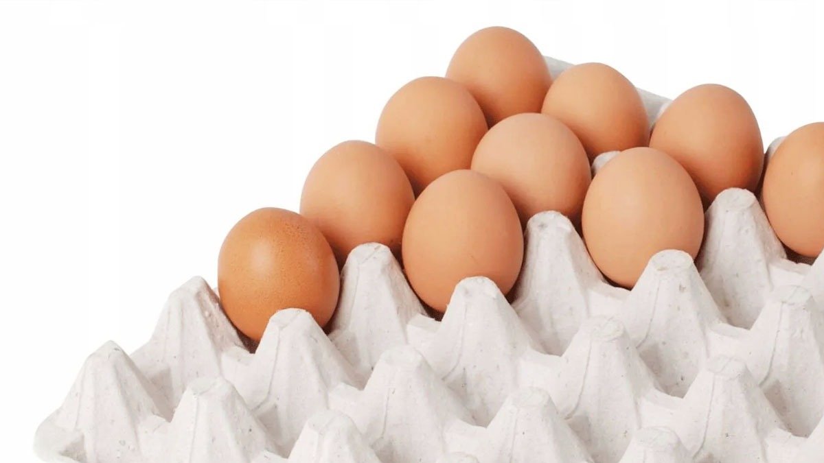 Nevyhazujte obal od vajec: při správném použití můžete ušetřit