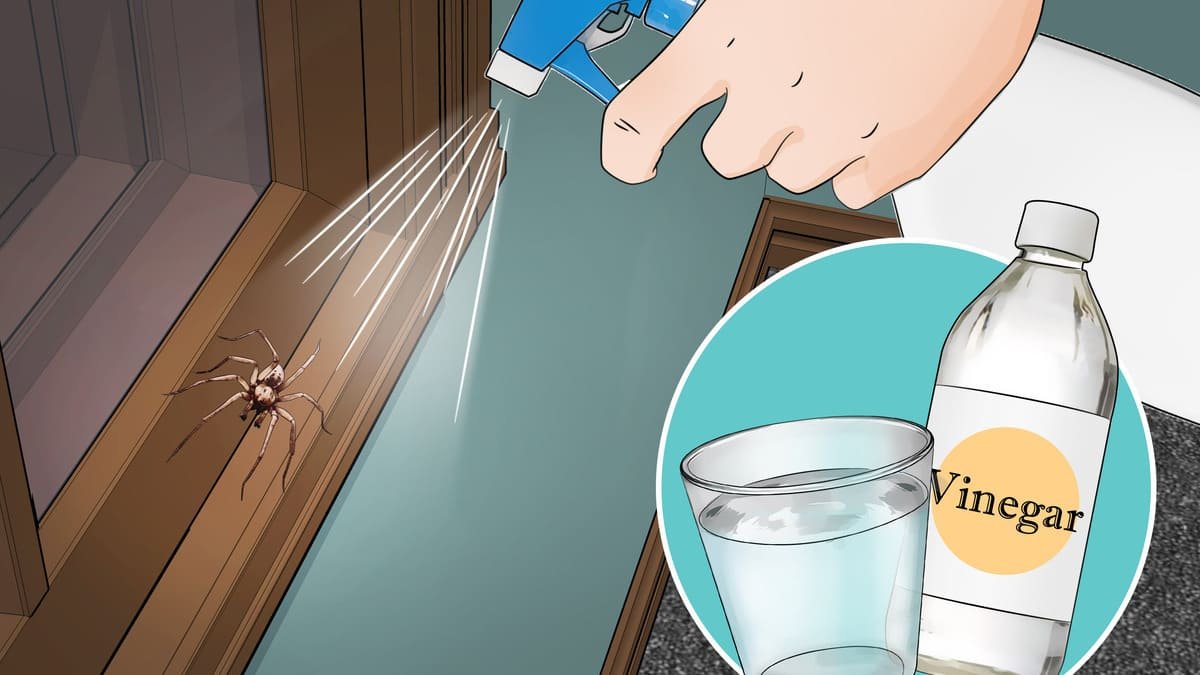 Lidé stříkají terasy octem a dělají dobře