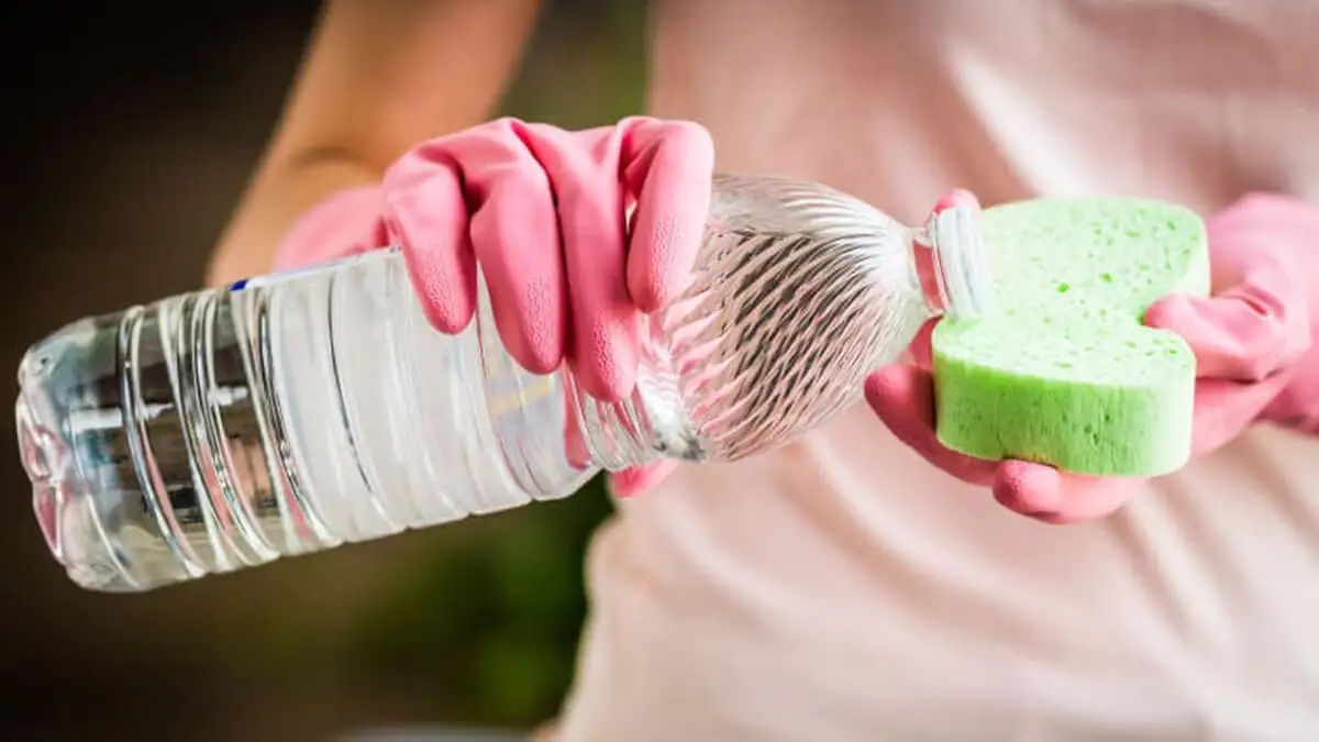 Sbohem plíseň na zdech: přírodní trik, který funguje lépe než bělidlo