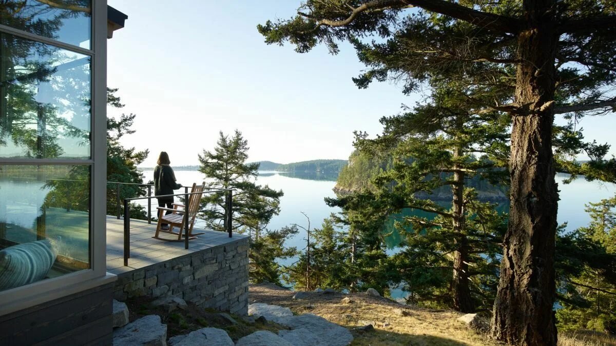 Pět stromů, které byste v Česku neměli sázet blízko domu, protože mohou způsobit problémy s infrastrukturou