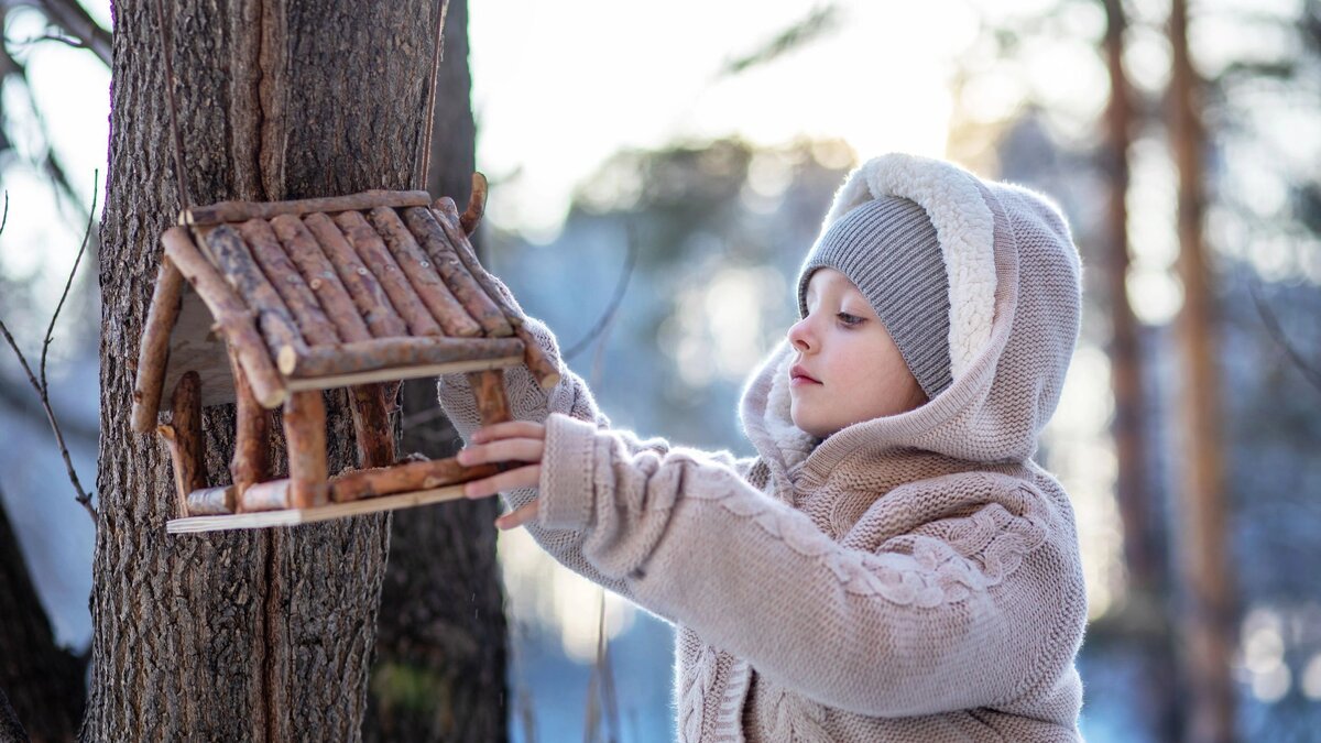 Budka pro ptáky tuto drobnost je nutné urychleně opravit aby se v ní ptáci ukrývali celou zimu