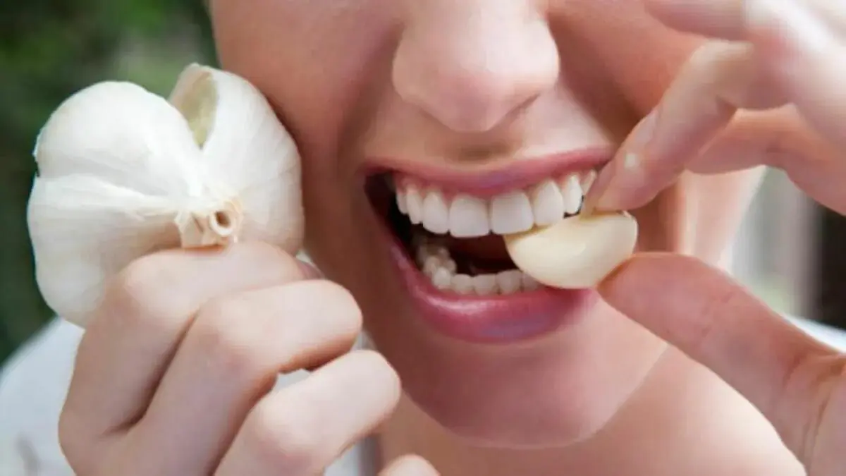 Nejlepší čas pro konzumaci česneku