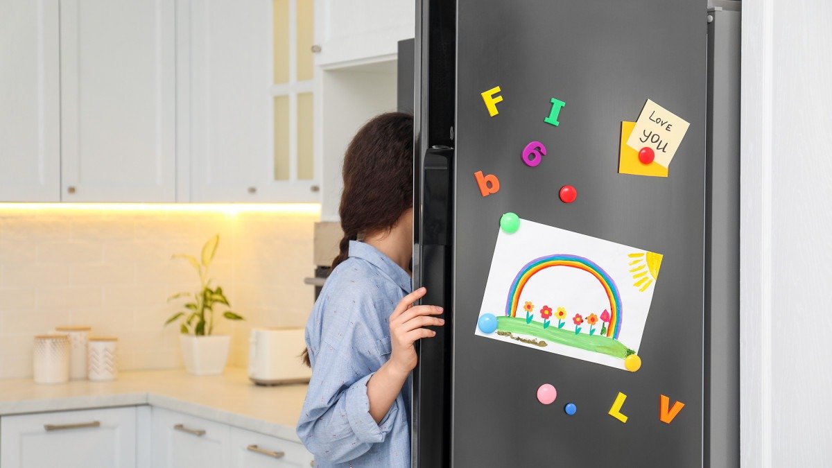 Mohou magnetky na lednici zvýšit účet za elektřinu Čeští odborníci dávají jasnou odpověď