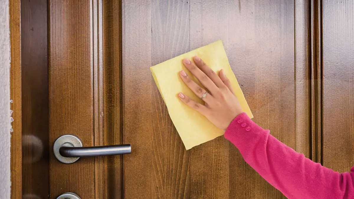 Stříkat ocet u vstupu do domu: k čemu to je a proč to mnozí doporučují 3 Stříkat ocet u vstupu do domu: k čemu to je a proč to mnozí doporučují