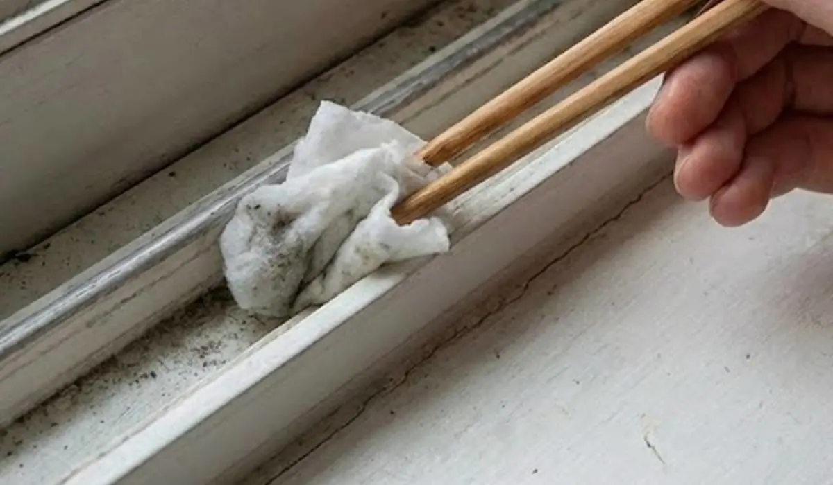 „Zkuste jen zapíchnout dřevěnou hůlku do vlhčeného ubrousku“ — všichni říkají: proč jsme se o tom dozvěděli až teď 3 „Zkuste jen zapíchnout dřevěnou hůlku do vlhčeného ubrousku“ — všichni říkají: proč jsme se o tom dozvěděli až teď