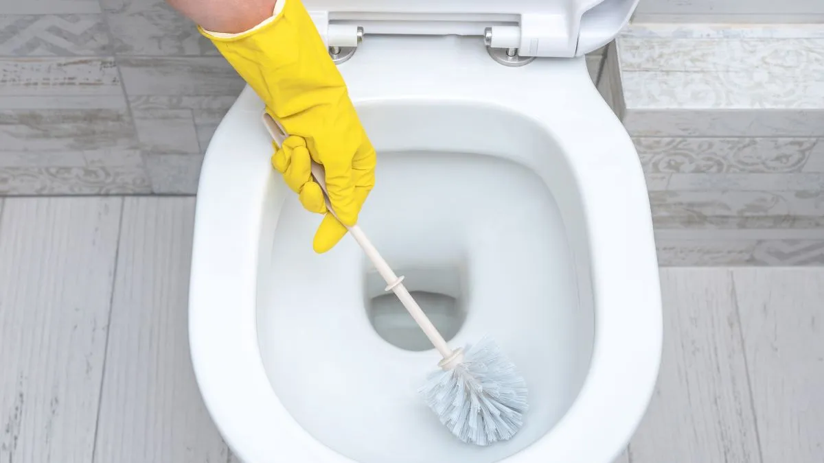 Dokonale čistá toaleta jak jednou provždy odstranit močový kámen