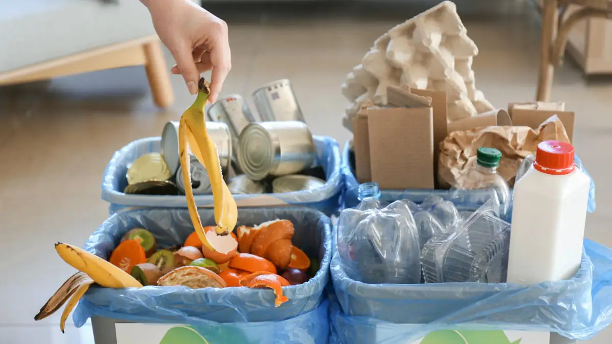 Kouř jde ven ale teplo nikam: jak topit aby se v komíně neusazovaly saze dehet a pryskyřice