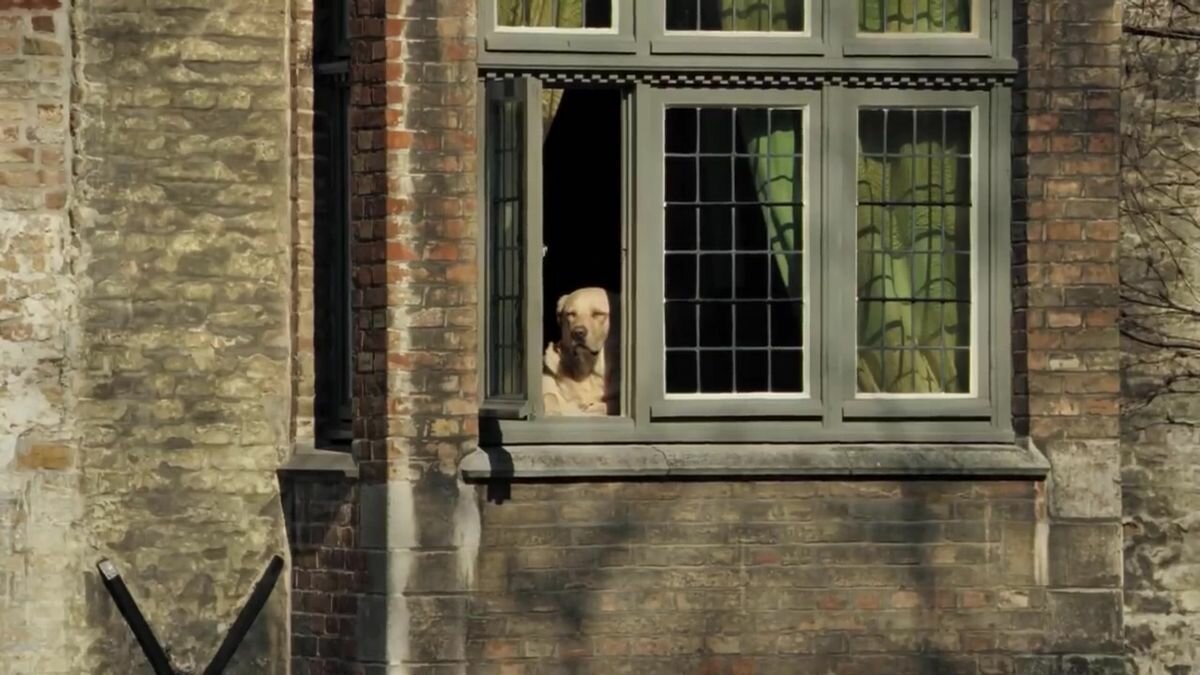 Proč Nizozemci nedávají na okna okenice a nezatahují závěsy Odpověď je překvapivá