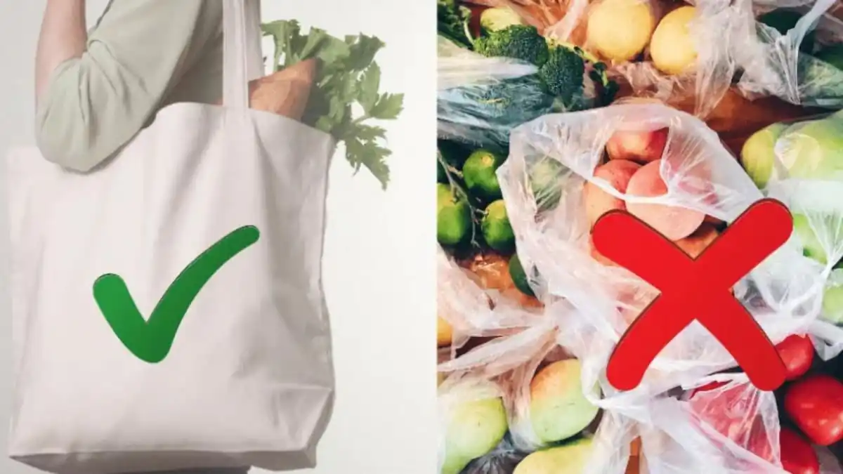 Sbohem, běžné odpadkové pytle: nový ekologický „trend“ pomáhá ušetřit