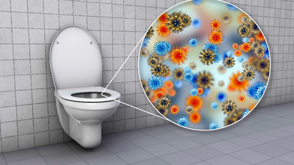Proč byste doma neměli nechávat víko toalety otevřené 2 Proč byste doma neměli nechávat víko toalety otevřené