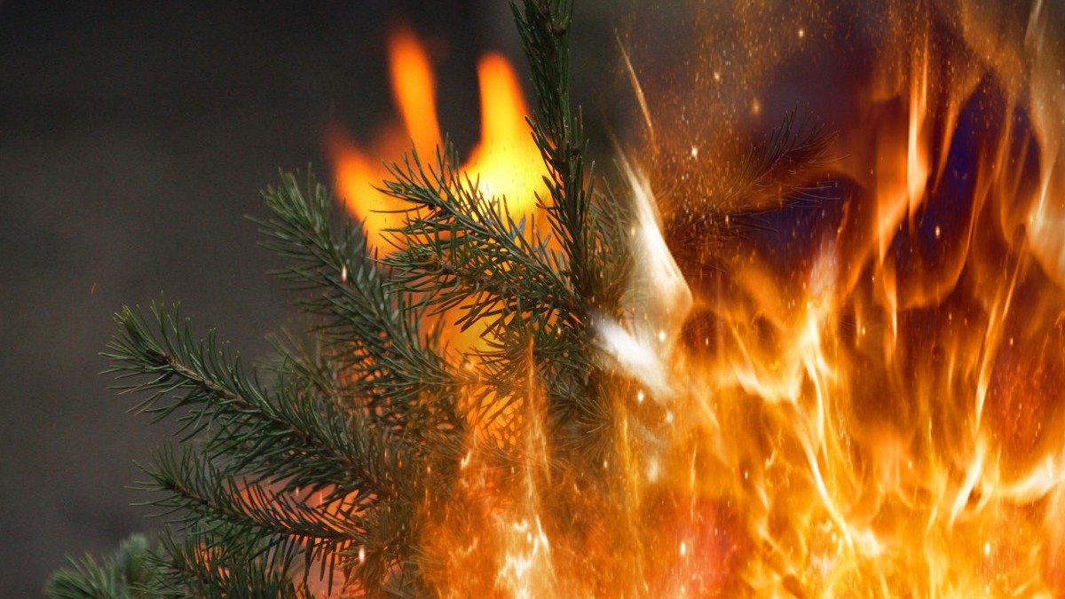 Mnozí to dělají po Vánocích, odborníci důrazně varují