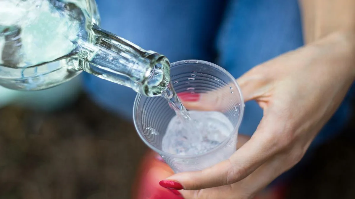 Stříkat ocet u vstupu do domu: k čemu to je a proč to mnozí doporučují 4 Stříkat ocet u vstupu do domu: k čemu to je a proč to mnozí doporučují