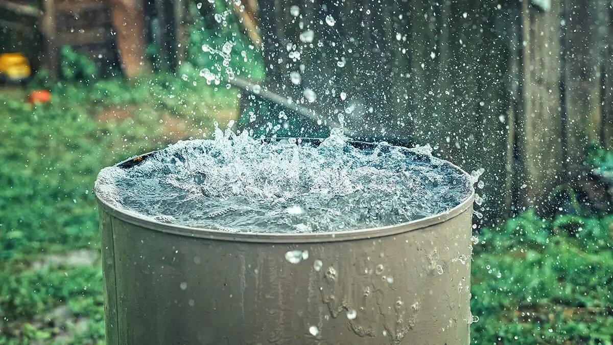 Jak ochránit sud na sběr dešťové vody před mrazem: nejlepší a nejjednodušší trik zahrádkářů