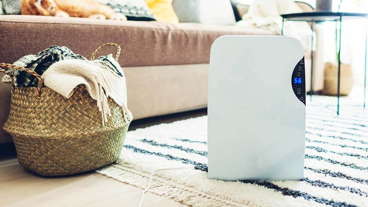 Chyba, kterou děláte s odvlhčovačem, kvůli které prádlo neschne, kam ho správně umístit