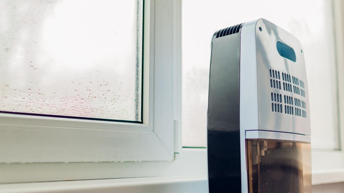 Odvlhčovače vzduchu nejsou jen pro vlhké domy, právě tady mohou pomoci