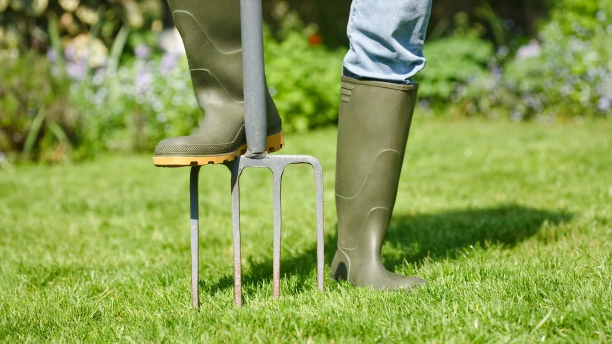 Nezbavujte se hliněných hrudek, které se objevují na vašem trávníku: vaše zahrada je zdravá!