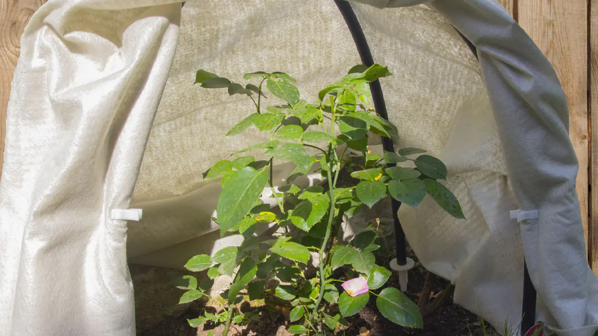 V minulosti lidé znali zimní trik: malý kolíček, který hodně znamená, když mrzne