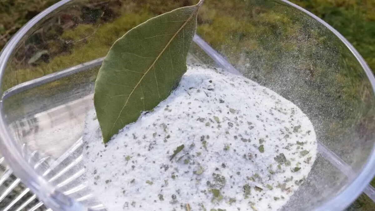 Míchání bobkového listu a jedlé sody: k čemu to slouží a proč se to doporučuje