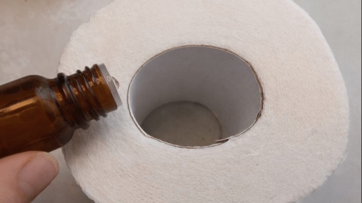 Aby na toaletě vždy vonělo svěže a čistě: jednoduchý trik s dutinkou funguje lépe než drahé aerosoly