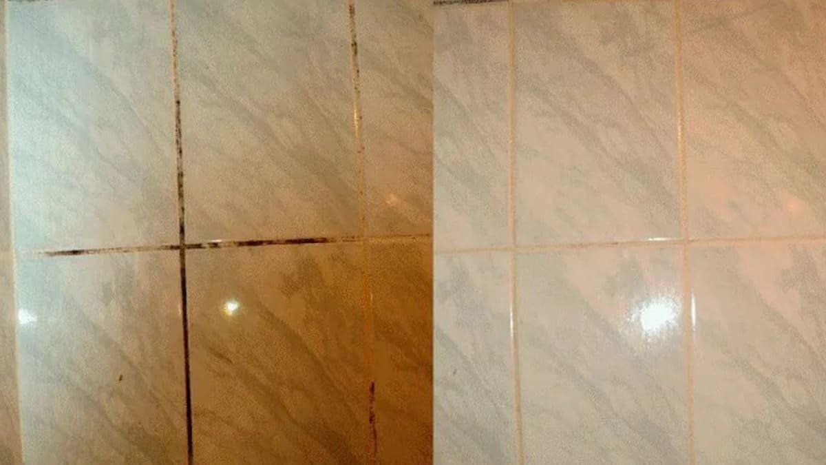 Jak správně čistit spáry trik, který by měl znát každý