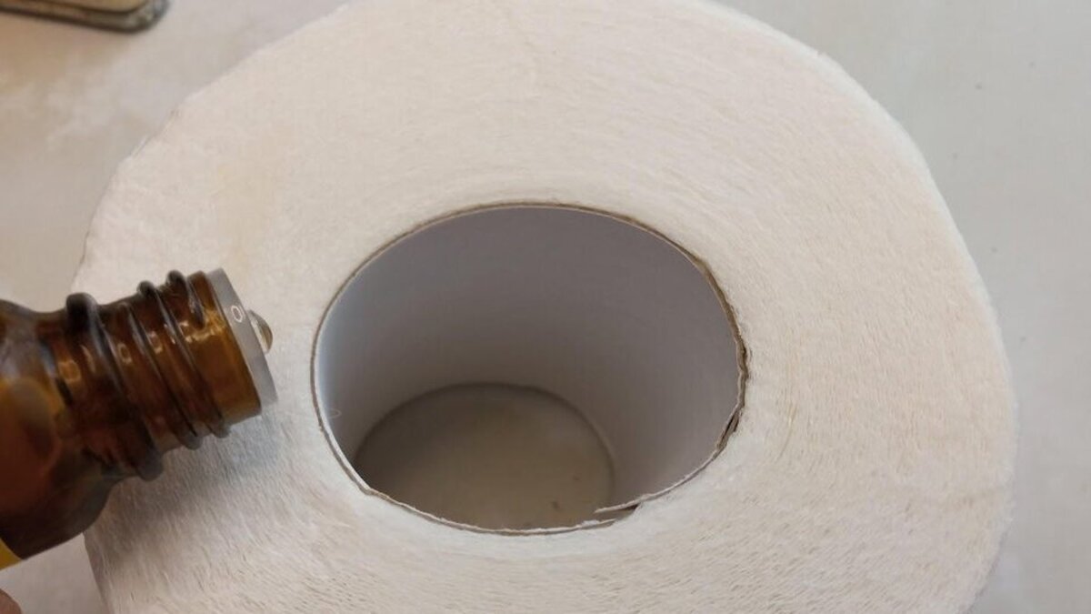 Na toaletě to voní příjemněji než v jarní zahradě: vezmu „toaletní papír“ a 3 kapky